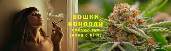 прущие крисы Новокубанск