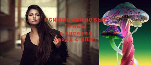 MDMA Новодвинск