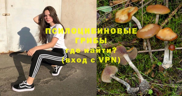 прущие крисы Новокубанск