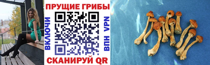 Галлюциногенные грибы прущие грибы MEGA Магадан