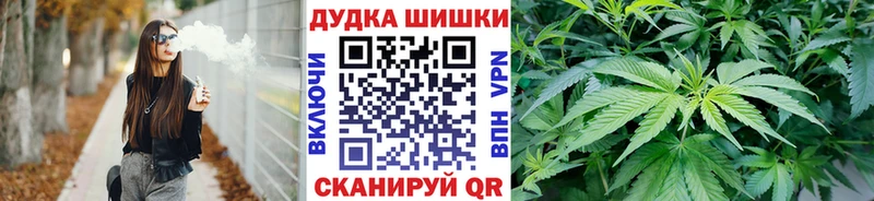 Канабис OG Kush  где продают   Магадан 